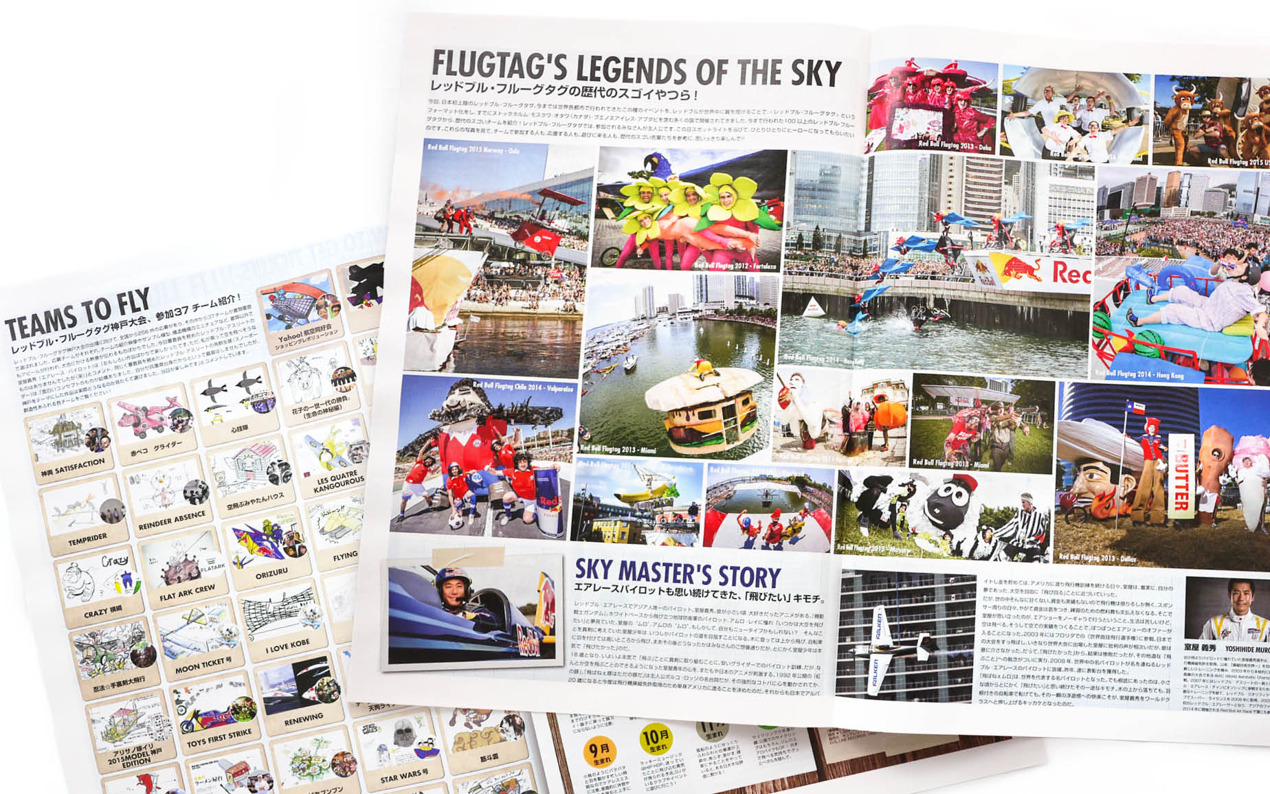 Red Bull Flugtag